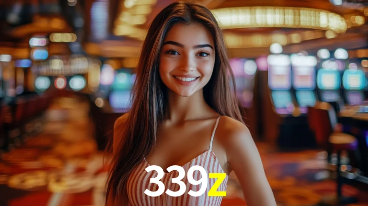 339z App Interface